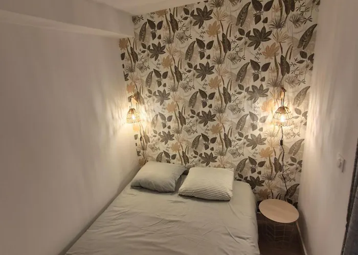 Le Fidji Cosy - Parking - Centre Διαμέρισμα